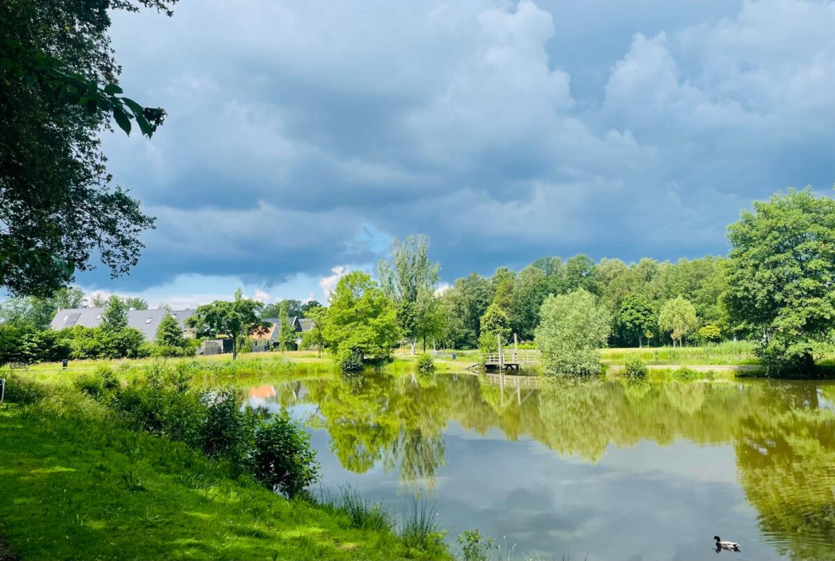 Depressie en homeopathie